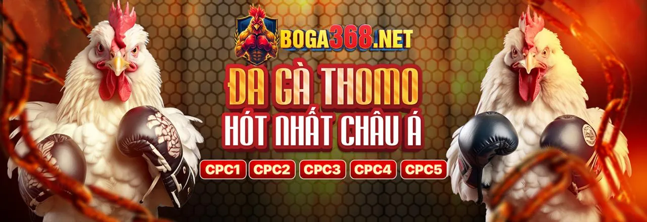 Đội ngũ hỗ trợ khách hàng của vn58 VIP App