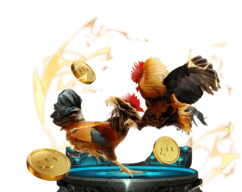 Đá Gà Philippines Sabong